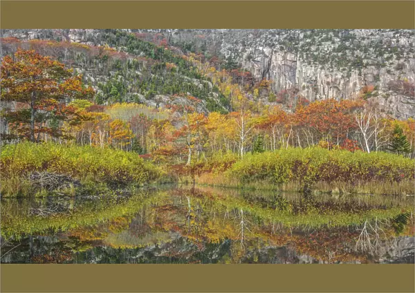 Beaver pond with beaver lodge (on the left side) and trees reflected in autumn