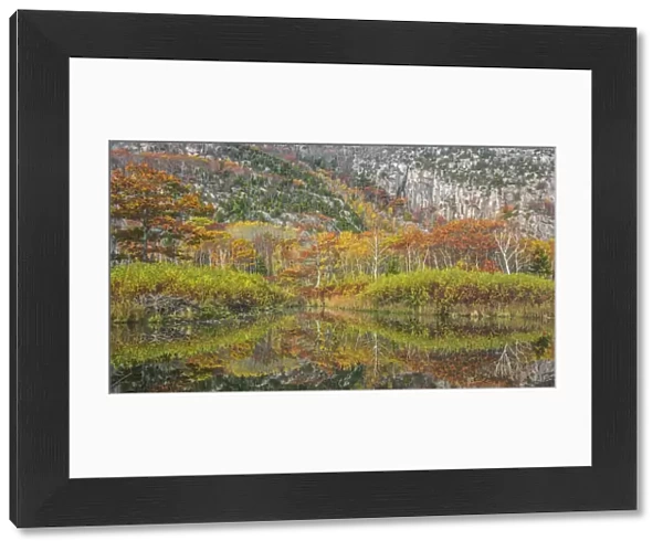 Beaver pond with beaver lodge (on the left side) and trees reflected in autumn