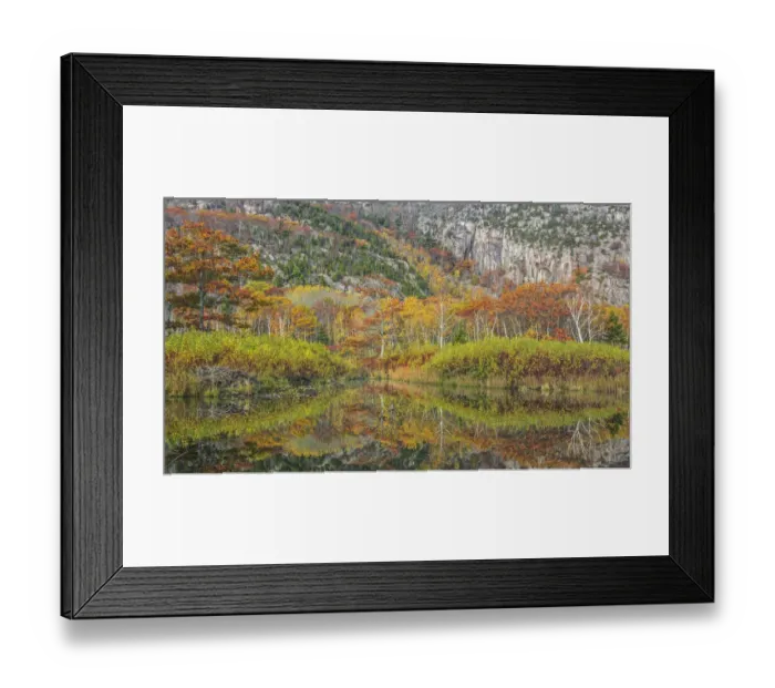 Framed Print : Beaver pond with beaver lodge (on the left side) and trees reflected in autumn Framed Print : Beaver pond with beaver lodge (on the left side) and trees reflected in autumn