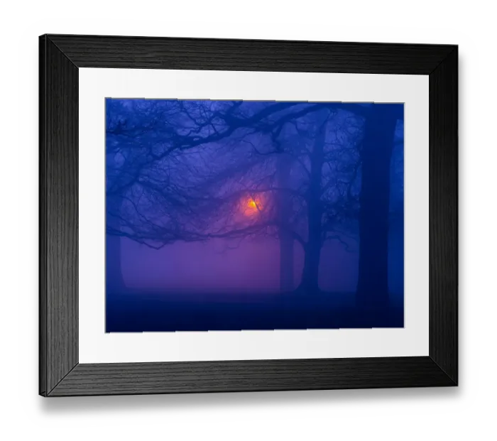 Framed Print : Beech trees (Fagus sylvatica) at night in winter, with lamp post illuminating the woodland Framed Print : Beech trees (Fagus sylvatica) at night in winter, with lamp post illuminating the woodland