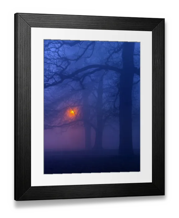 Framed Print : Beech trees (Fagus sylvatica) at night in winter, with lamp post illuminating the woodland Framed Print : Beech trees (Fagus sylvatica) at night in winter, with lamp post illuminating the woodland