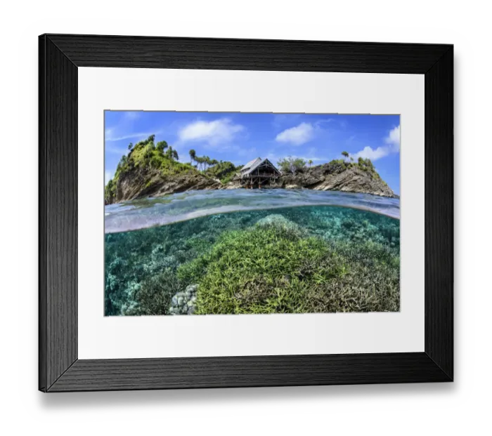 Framed Print : Split level image of hard coral garden flourishing in shallow water below Misool Eco Resort Framed Print : Split level image of hard coral garden flourishing in shallow water below Misool Eco Resort