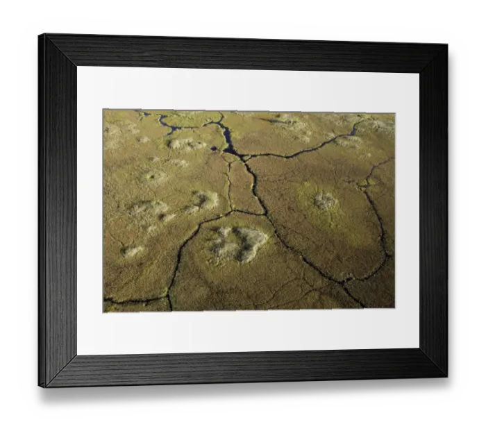 Framed Print : Aerial View showing Hippopotamus trails in the swamps of the Okavango Delta Framed Print : Aerial View showing Hippopotamus trails in the swamps of the Okavango Delta