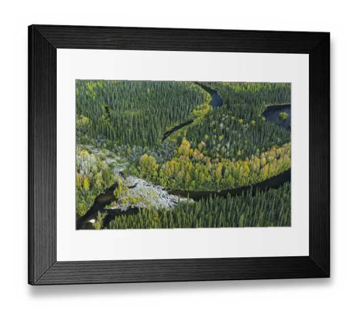 Framed Print : Aerial view of headwaters of the Lena River, Siberia, Russia. August 2018 Framed Print : Aerial view of headwaters of the Lena River, Siberia, Russia. August 2018