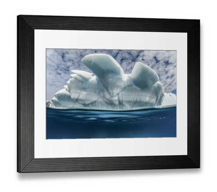 Framed Print : Iceberg, Antarctic Peninsula, Antarctica Framed Print : Iceberg, Antarctic Peninsula, Antarctica