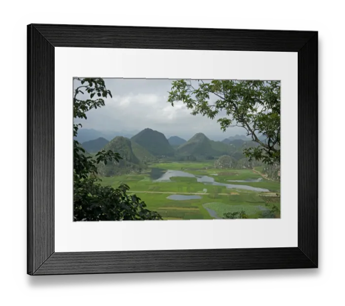 Framed Print : Wetland with cultivated areas of rice, Sacred lotus (Nelumbo nucifera) and other crops Framed Print : Wetland with cultivated areas of rice, Sacred lotus (Nelumbo nucifera) and other crops