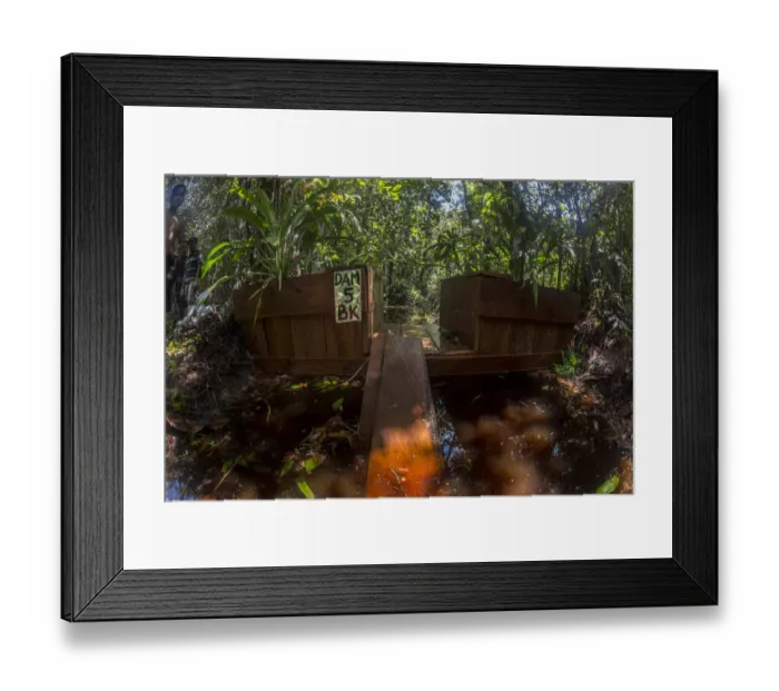 Framed Print : One of the dams constructed by the local field staff of the Borneo Nature Foundation Framed Print : One of the dams constructed by the local field staff of the Borneo Nature Foundation