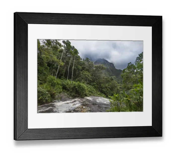 Framed Print : Scenery seen from Camp Marojejia, Marojejy NP, Madagascar Framed Print : Scenery seen from Camp Marojejia, Marojejy NP, Madagascar