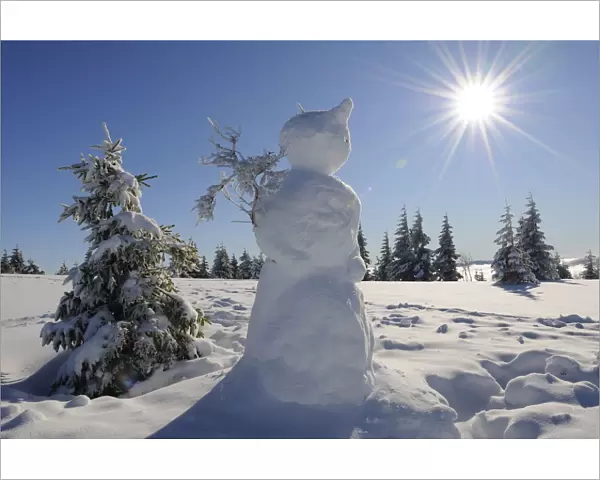 Snowman on Hauts Fourneaux, Ballon des Vosges Nature Park, Vosges, Lorraine, France