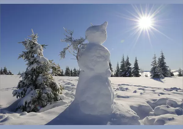 Snowman on Hauts Fourneaux, Ballon des Vosges Nature Park, Vosges, Lorraine, France
