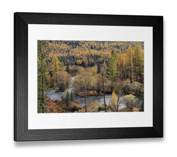 Framed Print : Colourful autumn views in Altai Mountains at the river Multa in Katunsky Range, with Framed Print : Colourful autumn views in Altai Mountains at the river Multa in Katunsky Range, with