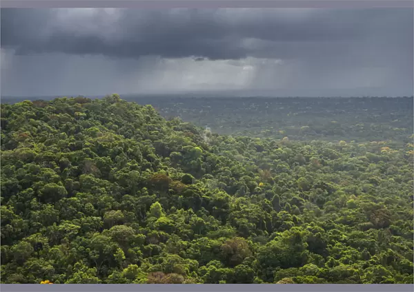 Rain storm over rainforest, Essequibo river region 9, Iwokrama, Rupununi, Guyana
