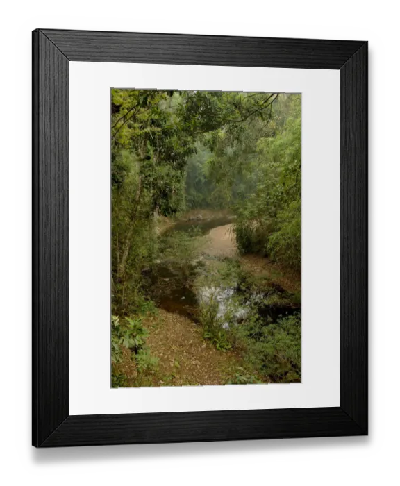 Framed Print : Sancha River flowing through tropical rainforest in dry season. Wild Elephant Valley Framed Print : Sancha River flowing through tropical rainforest in dry season. Wild Elephant Valley