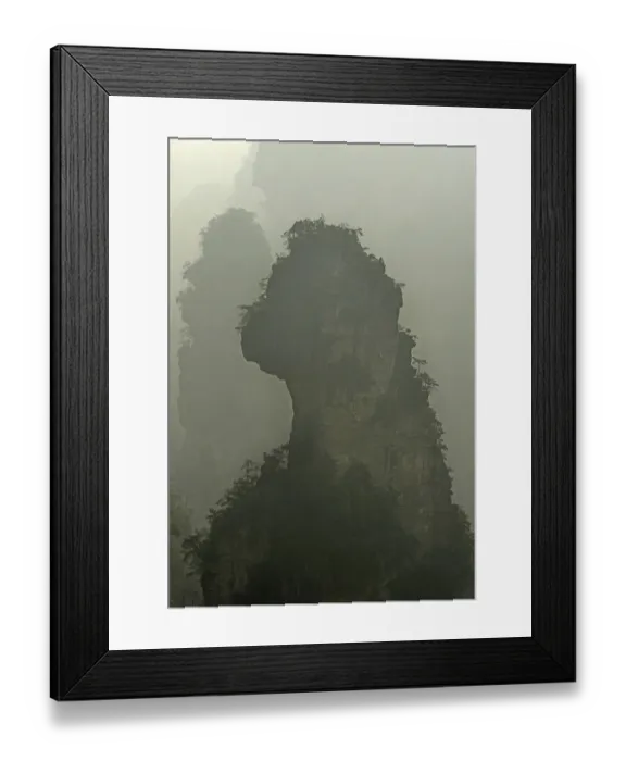 Framed Print : Wulingyuan pine (Pinus spp) trees growing on Apeman Peak. Zhangjiajhie National Forest Park Framed Print : Wulingyuan pine (Pinus spp) trees growing on Apeman Peak. Zhangjiajhie National Forest Park