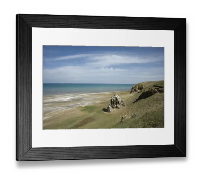 Framed Print : Qinghai Lake shore with Great cormorants (Phalacrocorax carbo sinensis) colony nesting on rocks Framed Print : Qinghai Lake shore with Great cormorants (Phalacrocorax carbo sinensis) colony nesting on rocks