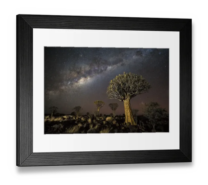 Framed Print : Quiver tree forest (Aloe dichotoma) at night with stars and the Milky Way, Keetmanshoop, Namibia Framed Print : Quiver tree forest (Aloe dichotoma) at night with stars and the Milky Way, Keetmanshoop, Namibia