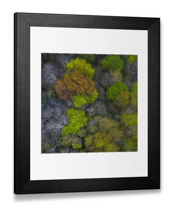 Framed Print : Mediterranean forest in spring, deciduous trees coming into leaf, aerial view. Tarrueza Framed Print : Mediterranean forest in spring, deciduous trees coming into leaf, aerial view. Tarrueza
