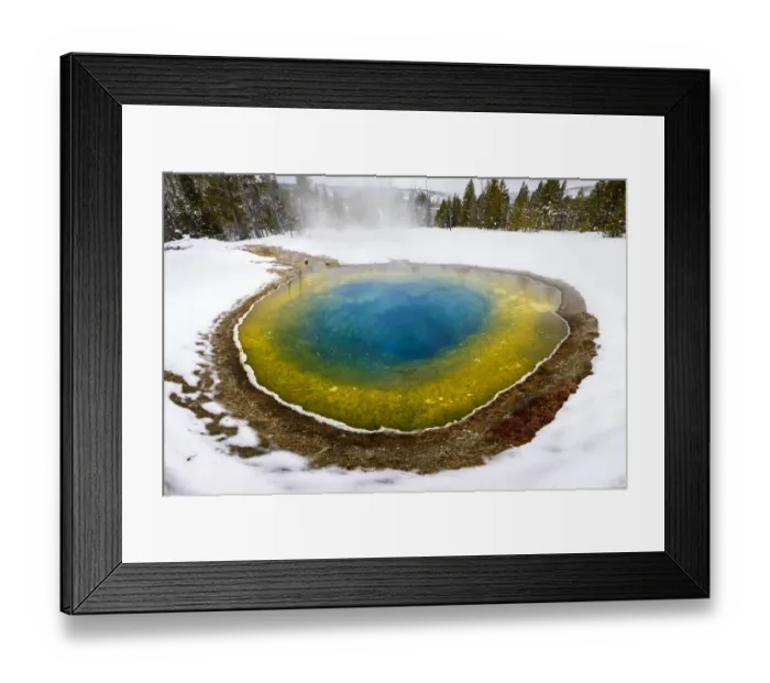 Framed Print : Morning Glory thermal pool surrounded by snow, coniferous forest in background. Near Framed Print : Morning Glory thermal pool surrounded by snow, coniferous forest in background. Near