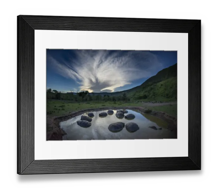 Framed Print : Alcedo giant tortoise (Chelonoidis vandenburghi), group bathing Framed Print : Alcedo giant tortoise (Chelonoidis vandenburghi), group bathing