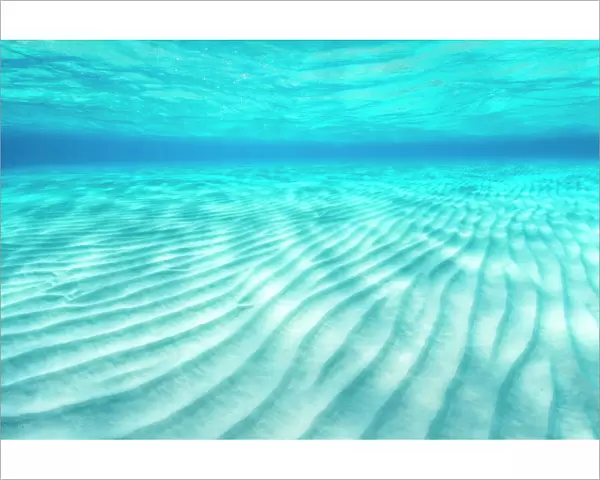 Ripples of sand on a shallow seabed. East End, Grand Cayman, Cayman Islands, British West Indies