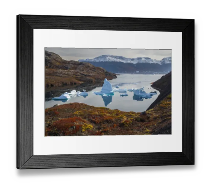 Framed Print : Icebergs and autumn tundra near Rode O (Red Island) in Rode Fjord (Red Fjord), Scoresby Sund Framed Print : Icebergs and autumn tundra near Rode O (Red Island) in Rode Fjord (Red Fjord), Scoresby Sund