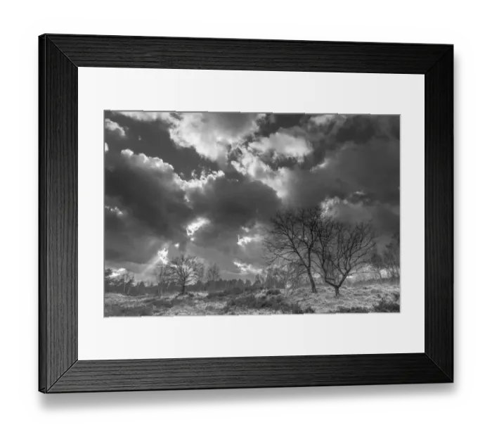 Framed Print : Stormy sky over Klein Schietveld, Brasschaat, Belgium. March 2019 Framed Print : Stormy sky over Klein Schietveld, Brasschaat, Belgium. March 2019