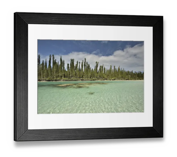 Framed Print : Natural basin in Oro Bay with the New Caledonia pines (Araucaria columnaris) that Framed Print : Natural basin in Oro Bay with the New Caledonia pines (Araucaria columnaris) that
