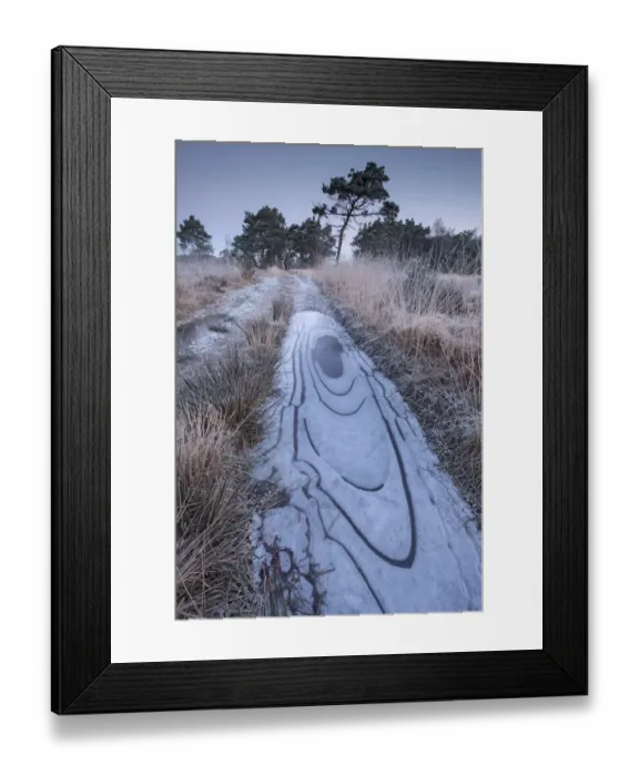 Framed Print : Frozen water patterns in Klein Schietveld, Brasschaat, Belgium Framed Print : Frozen water patterns in Klein Schietveld, Brasschaat, Belgium