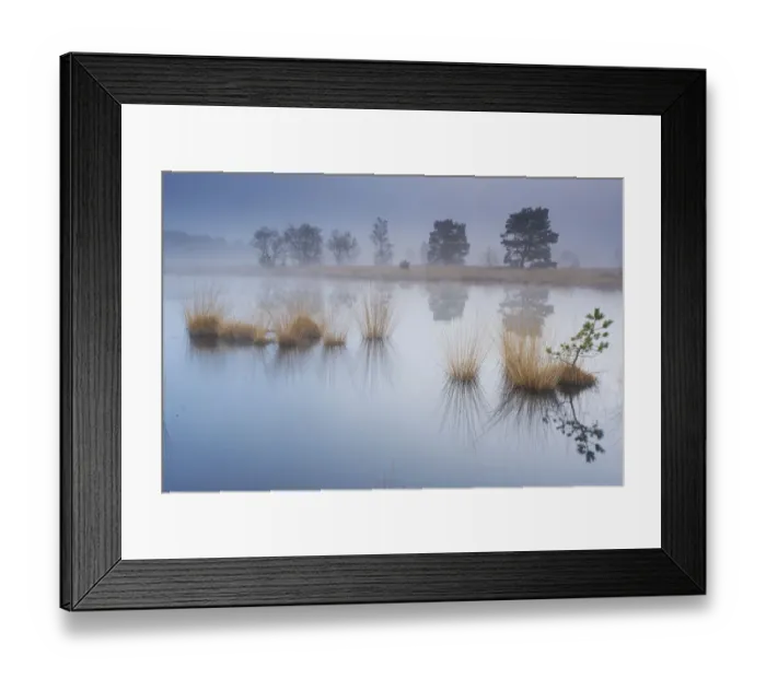 Framed Print : Wetland at sunrise, Klein Schietveld, Brasschaat, Belgium Framed Print : Wetland at sunrise, Klein Schietveld, Brasschaat, Belgium
