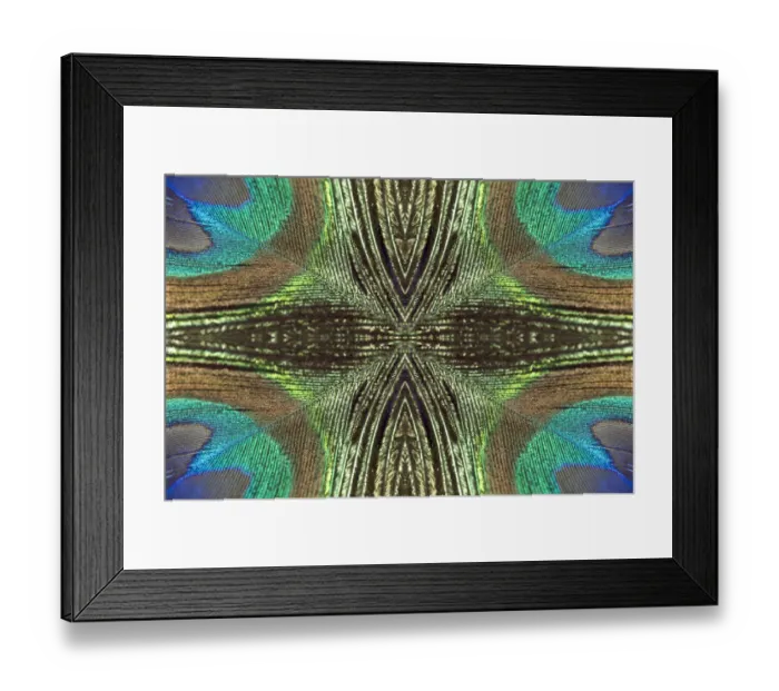 Framed Print : Kaleidoscopic montage of a peacock feather Framed Print : Kaleidoscopic montage of a peacock feather
