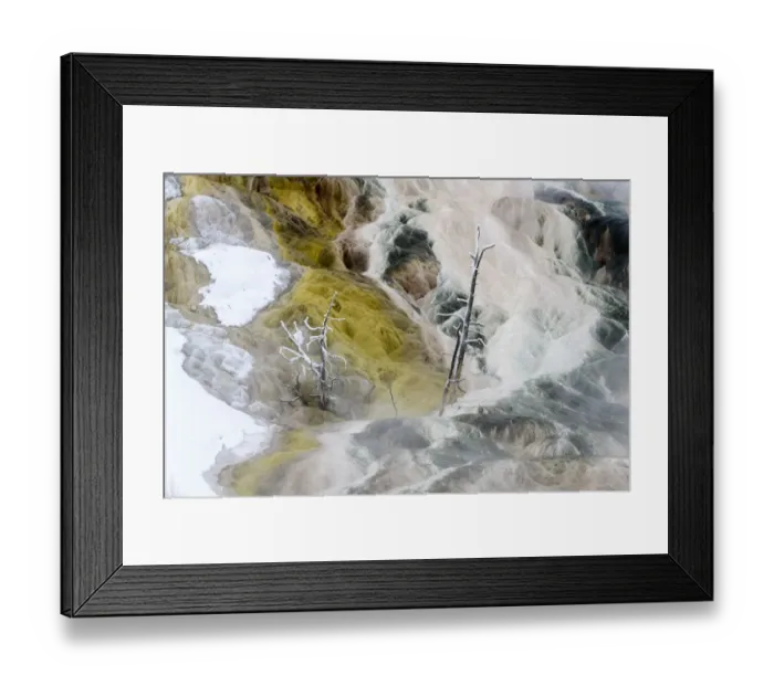 Framed Print : RF - Petrified trees and travetine cascade. Geothermal feature at Mammoth Hot Springs Framed Print : RF - Petrified trees and travetine cascade. Geothermal feature at Mammoth Hot Springs