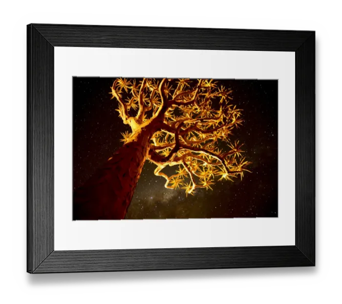 Framed Print : Kokerboom or Quiver Tree (Aloe dichotomum), a species of aloe indigenous to Southern Framed Print : Kokerboom or Quiver Tree (Aloe dichotomum), a species of aloe indigenous to Southern