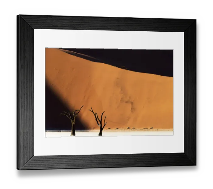 Framed Print : Deadvlei with dead Camel thorn trees (Vachellia erioloba), Namib-Naukluft National Park Framed Print : Deadvlei with dead Camel thorn trees (Vachellia erioloba), Namib-Naukluft National Park