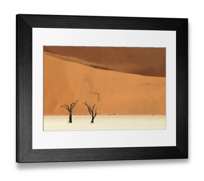 Framed Print : Deadvlei with dead Camel thorn trees (Vachellia erioloba), Namib-Naukluft National Park Framed Print : Deadvlei with dead Camel thorn trees (Vachellia erioloba), Namib-Naukluft National Park