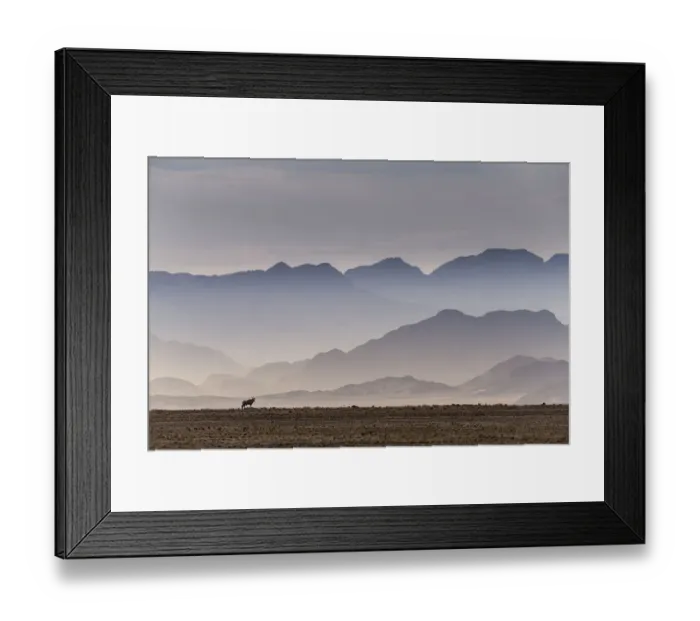 Framed Print : Gemsbok (Oryx gazella) in the Sossusvlei Valley, Namib Desert Framed Print : Gemsbok (Oryx gazella) in the Sossusvlei Valley, Namib Desert