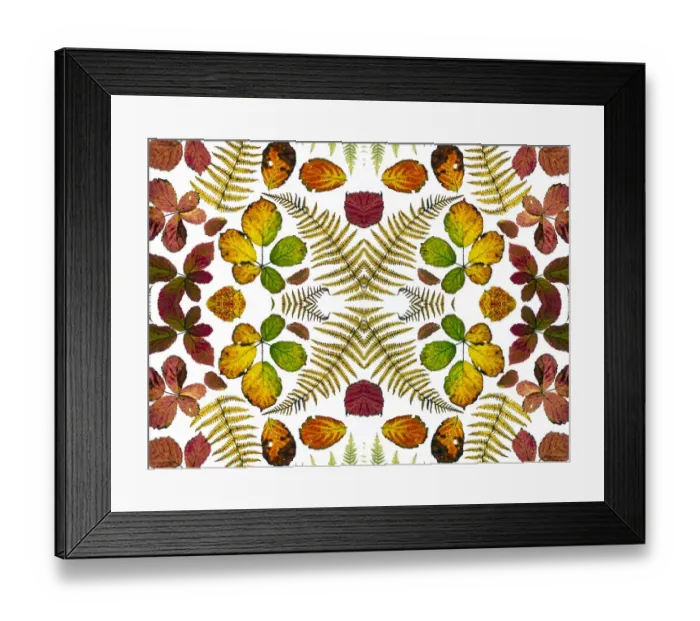 Framed Print : Kaleidoscopic image of Bramble leaves (Rubus fruticosus Framed Print : Kaleidoscopic image of Bramble leaves (Rubus fruticosus