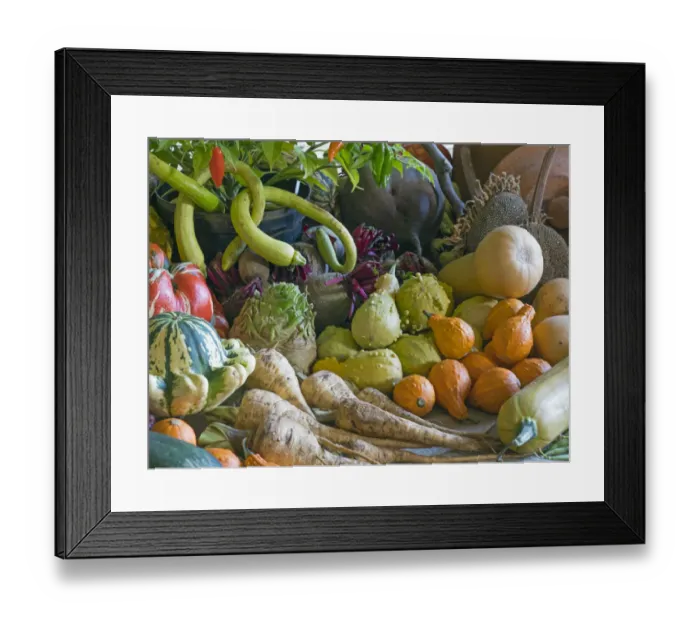 Framed Print : Home-grown fruit and vegetables harvested in the autumn. October Framed Print : Home-grown fruit and vegetables harvested in the autumn. October