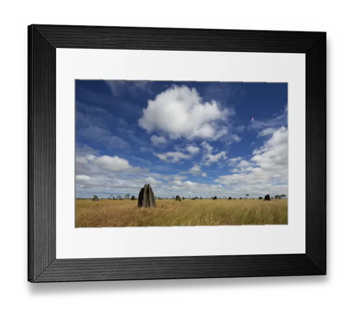 Framed Print : Termite Mounds on the Nifold Plain Cape York Peninsula, Queensland, Australia. June 2012 Framed Print : Termite Mounds on the Nifold Plain Cape York Peninsula, Queensland, Australia. June 2012