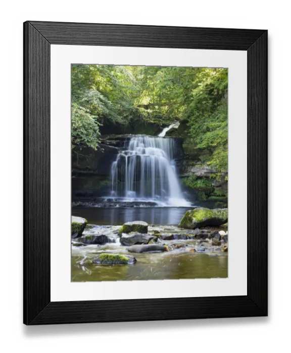 Framed Print : Walden Beck waterfall in woodland, West Burton, Yorkshire Dales National Park, England Framed Print : Walden Beck waterfall in woodland, West Burton, Yorkshire Dales National Park, England