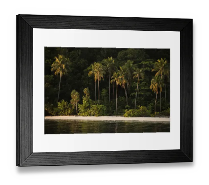 Framed Print : View of coastal beach with palm trees in Raja Ampat, West Papua, Indonesia. Pacific Ocean Framed Print : View of coastal beach with palm trees in Raja Ampat, West Papua, Indonesia. Pacific Ocean