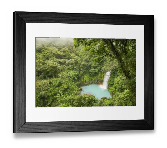 Framed Print : View of the Rio Celeste waterfall, tropical rainforest of Tenorio Volcano National Park Framed Print : View of the Rio Celeste waterfall, tropical rainforest of Tenorio Volcano National Park
