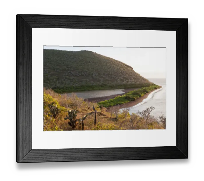 Framed Print : Saline lagoon bordered by salt bush, with typical arid vegetation beyond, Rabida Island Framed Print : Saline lagoon bordered by salt bush, with typical arid vegetation beyond, Rabida Island
