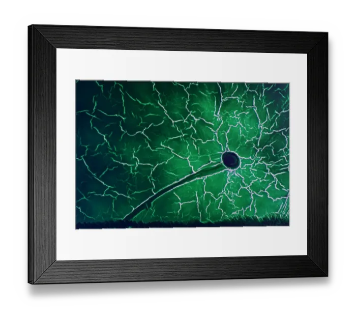 Framed Print : Crystallised patterns in an abandoned pond used for the disposal Framed Print : Crystallised patterns in an abandoned pond used for the disposal