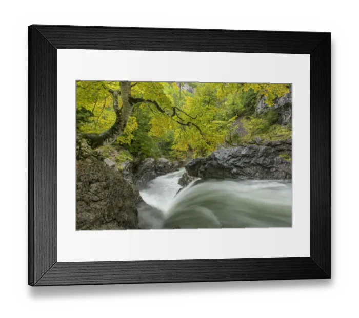 Framed Print : River Ara, Valle de Bujaruelo, Ordesa National Park, Spain. October 2019 Framed Print : River Ara, Valle de Bujaruelo, Ordesa National Park, Spain. October 2019