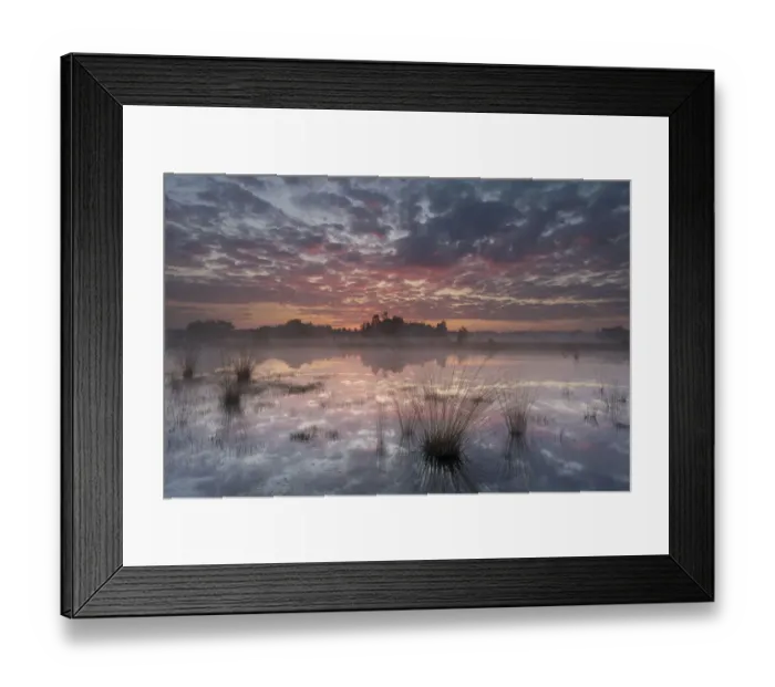 Framed Print : Sunrise over Klein Schietveld, Brasschaat, Belgium. May Framed Print : Sunrise over Klein Schietveld, Brasschaat, Belgium. May
