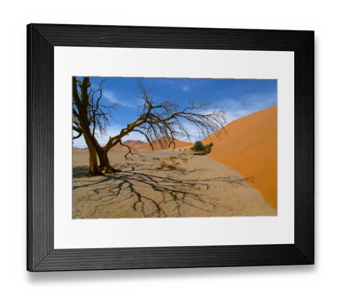 Framed Print : Dead Camel thorn trees (Vachellia erioloba), Sossusvlei region, Namib desert, Namibia Framed Print : Dead Camel thorn trees (Vachellia erioloba), Sossusvlei region, Namib desert, Namibia