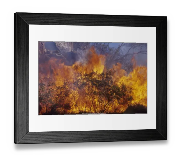 Framed Print : Bushfire in dry tropics - King Leopold Range, Kimberley Region, Western Australia Framed Print : Bushfire in dry tropics - King Leopold Range, Kimberley Region, Western Australia