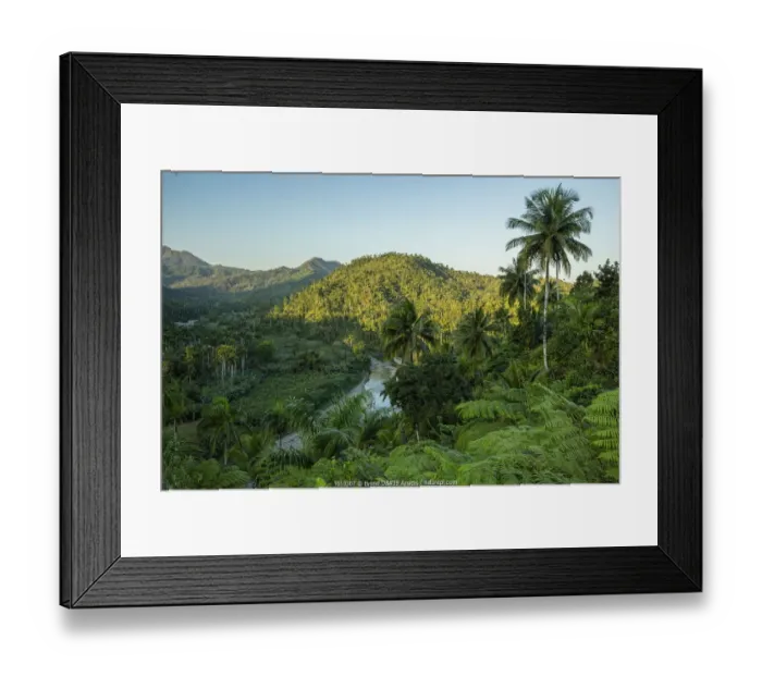 Framed Print : Rainforest vegetation in Chuchillas del Toa Biosphere Reserve near Quibijan Framed Print : Rainforest vegetation in Chuchillas del Toa Biosphere Reserve near Quibijan
