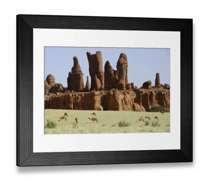 Framed Print : Eroded sandstone rock formations with Dromedary camels (Camelus dromedarius Framed Print : Eroded sandstone rock formations with Dromedary camels (Camelus dromedarius