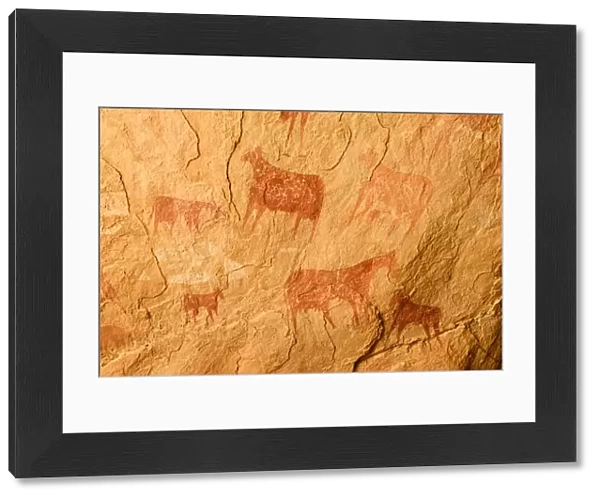 Ancient cave paintings depicting cattle. Ennedi Natural and Cultural Reserve